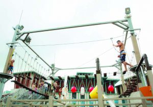 Some mazes include a high ropes course built above the ground-level human maze. 