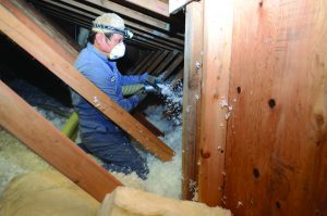 Blown-in insulation can fill spaces better than batt insulation, but requires special equipment. Photo Credit: Weatherization Assistance Project