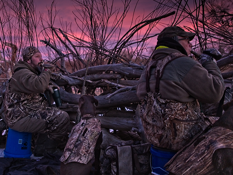 two hunters use their duck whistles as the sun begins to rise