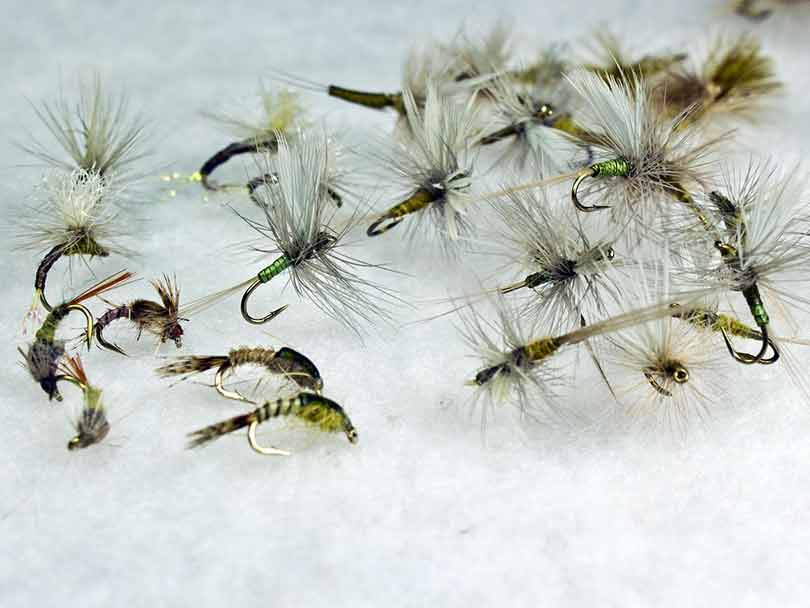 The funny & wonderful names of Trout Flies