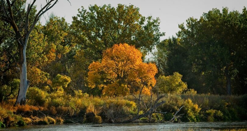 The North Platte in Autumn