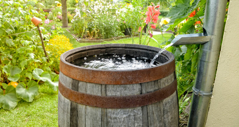 Rainwater barrel
